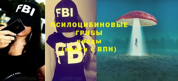 ALPHA-PVP Алексеевка