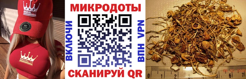 Галлюциногенные грибы прущие грибы  Буй 